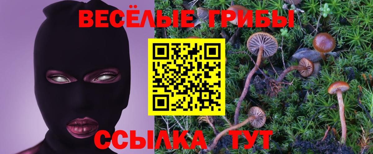 Псилоцибиновые грибы прущие грибы Можга