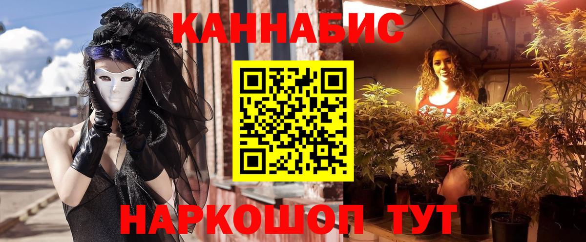 Канабис планчик Можга